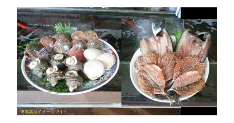 【ふるさと納税】（冷蔵）伊勢志摩　海鮮　BBQセット／鈴木水産　海の幸　大あさり　サザエ　ヒオウギ貝　干物　あじ　鯵　サバ　鯖