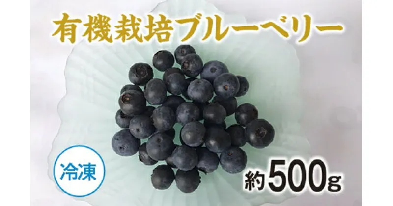 【ふるさと納税】（冷凍）有機栽培　ブルーベリー　約500g／きみちゃんファーム　果実　フルーツ　果物　国産　三重県　度会町