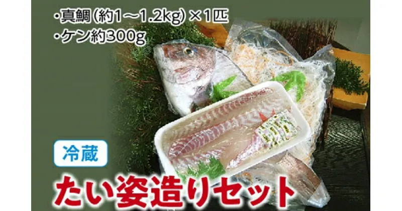 【ふるさと納税】（冷蔵）たい姿造りセット／伊勢志摩　熊野灘　鈴木水産　真鯛　タイ　お刺身　塩焼き　鯛めし　煮付け　豪華姿造り　度会町