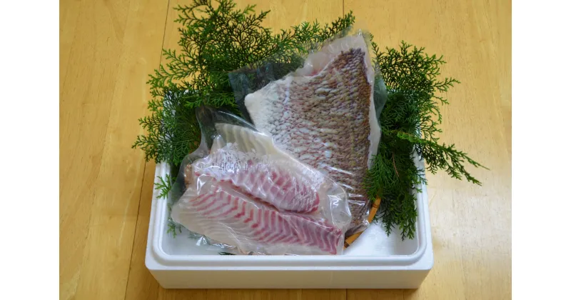 【ふるさと納税】（冷蔵） 錦産 養殖 真鯛 フィレ 半身 2枚入り ／ 魚々錦 ふるさと納税 大紀ブランド 魚 たい 海鮮 海産 お取り寄せ グルメ 三重県 大紀町