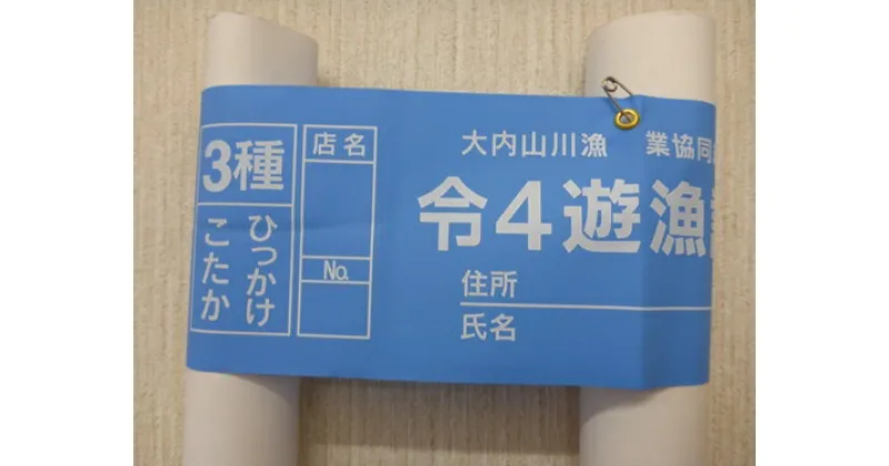 【ふるさと納税】鮎　遊漁券　年券　3種／大内山川漁業協同組合　釣り　ひっかけ　こたか　川釣り　アウトドア　大紀ブランド　三重県　大紀町