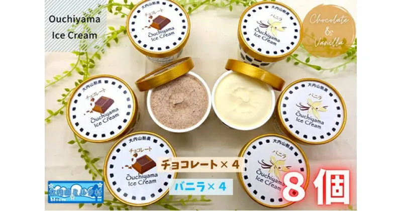 【ふるさと納税】（冷凍） 大内山ミルク村 大内山アイスクリーム チョコレート 4個 バニラ 4個 セット ／ 大内山酪農アイス 大内山 乳製品 アイス デザート スイーツ 大紀ブランド 三重県 大紀町