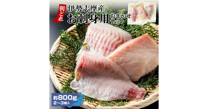 【ふるさと納税】（冷蔵）伊勢志摩産 朝どれ 2～3種 約800g お刺身用 おまかせセット ／ 城水産 ふるさと納税 刺身 魚 切るだけスペック 寄付 おすすめ 鯛 鰤 たい ブリ 新鮮 真空チルド 三重県 南伊勢