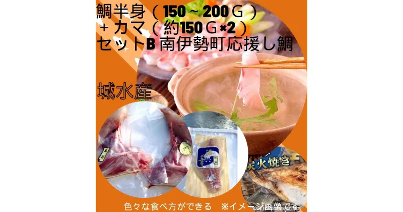 【ふるさと納税】（冷蔵）真鯛 半身 (150g～200g)＋青物 カマ (約150g×2)セットB 南伊勢町 応援し鯛 伊勢志摩 ／ 城水産 ふるさと納税 寄付 魚 ヒラマサ かんぱち たい 刺身 真空チルド 三重県