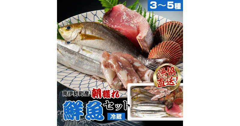 【ふるさと納税】（冷蔵）漁協直送！　南伊勢町産　3～5種　朝獲れ鮮魚セット／三重外湾漁業組合　お刺身　新鮮　詰合せ　おいしい　とれたて　旬　三重県　伊勢志摩