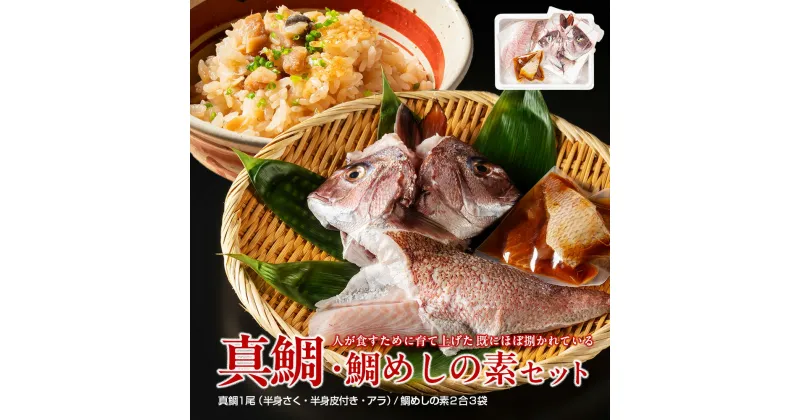 【ふるさと納税】（冷蔵） 人が食すために育てられほぼ捌かれている 真鯛・鯛めしの素 セット ／ 友栄水産 鯛 真鯛 鯛めし お刺身 炙り 塩焼き 煮つけ 伊勢志摩 三重県 南伊勢町