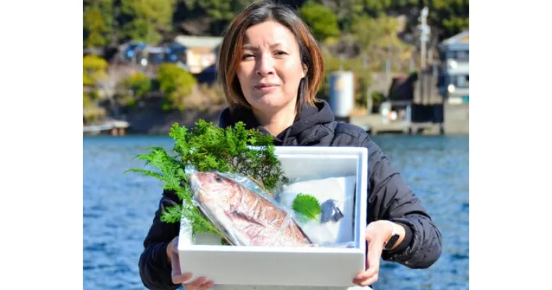 【ふるさと納税】（冷蔵） 人が食すために育てられた真鯛で塩釜焼き セット ／ 友栄水産 鯛 真鯛 塩釜焼き 伊勢志摩 三重県 南伊勢町