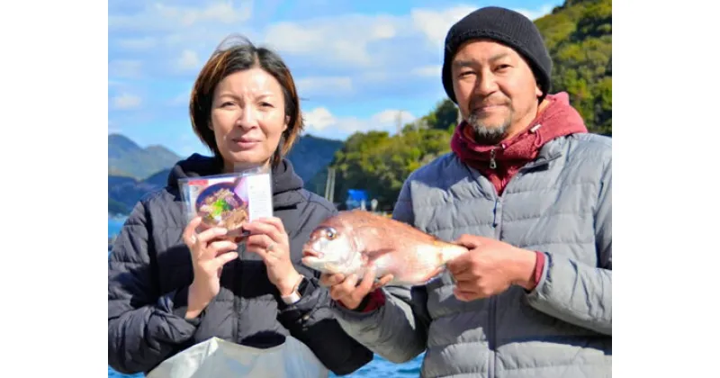 【ふるさと納税】（冷蔵） 人が食すために育てられた 真鯛・鯛めしの素 セット ／ 友栄水産 鯛 真鯛 鯛めし 伊勢志摩 三重県 南伊勢町