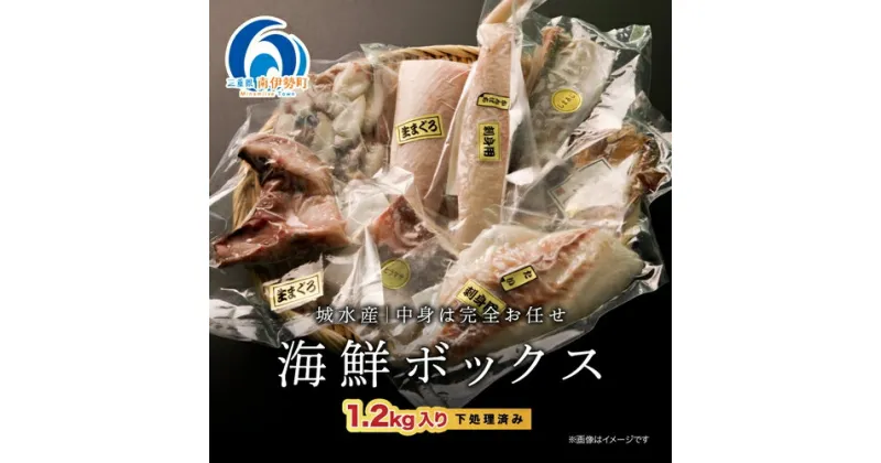 【ふるさと納税】（冷凍）南伊勢 海鮮 お宝 ボックス 1.2kg 伊勢志摩 ／ 城水産 ふるさと納税 おすすめ 返礼品 美味しい 魚 マグロ 鮪 鯛 ブリ 新鮮 真空パック カマ 刺身 海の幸 お取り寄せ 三重県