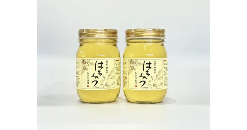 【ふるさと納税】国産 はちみつ アカシア 500g×2本入り セット ／ 長谷川養蜂 1kg 非加熱 瓶 希少 純粋はちみつ ハチミツ 蜂蜜 ハニー 三重県 南伊勢町