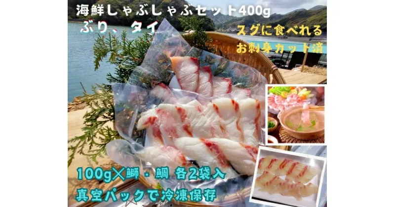 【ふるさと納税】（冷凍） タイ ブリ カット済 海鮮 しゃぶしゃぶ 100g 各 2袋 計 400g ／ 伊勢志摩 城水産 まだい 真鯛 鰤 天然 スライス のっけ丼 お茶漬け 海鮮丼 豪快丼 産地直送