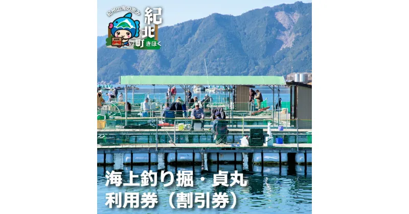 【ふるさと納税】【A19】海上釣り掘・貞丸 利用券（割引券）