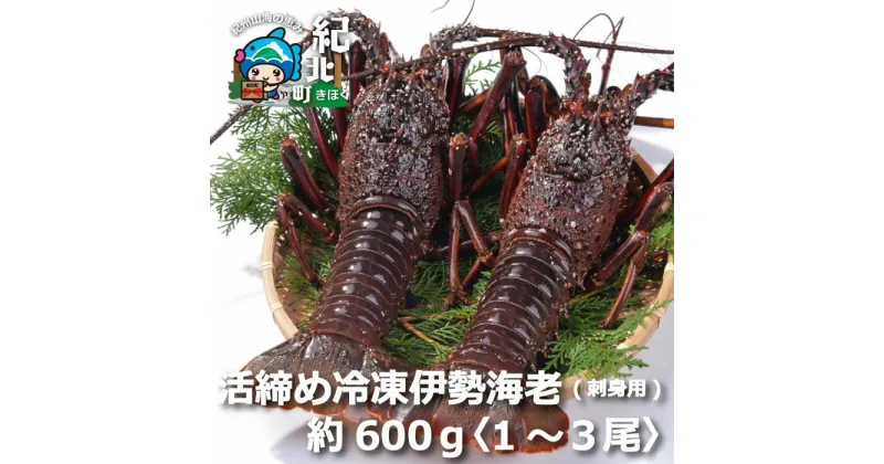 【ふるさと納税】伊勢海老(刺身用) 600g[1尾〜3尾] いせえび イセエビ 活締め冷凍【CC22】