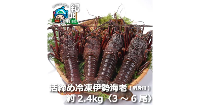 【ふるさと納税】伊勢海老(刺身用) 2.4kg[3尾〜6尾] いせえび イセエビ 活締め冷凍【FF16】