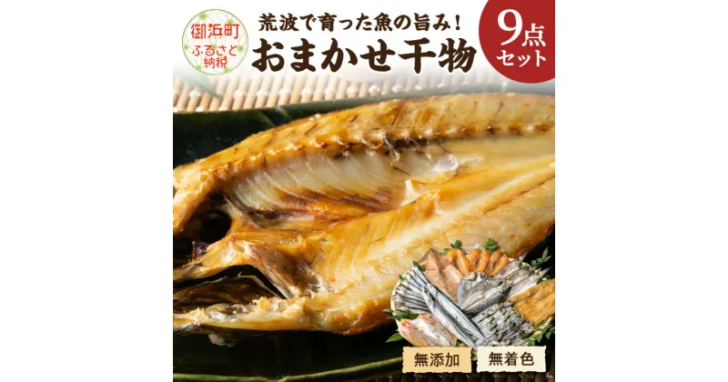 【ふるさと納税】マルミツのおまかせ9点 魚 干物 セット 詰め合わせ 魚 干物 セット 詰め合わせ ふぐ ウルメ 太刀魚 カマス アジ 鯛 甘鯛 さんま 送料無料 無添加 無着色 三重県 御浜町