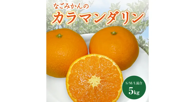 【ふるさと納税】なごみかんのカラマンダリン 5キロ 果物 フルーツ みかん カラマンダリン 三重県 御浜町 5kg 送料無料 春