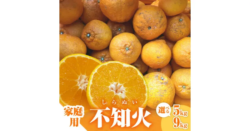 【ふるさと納税】ミカファームの不知火 5キロ 9キロ （家庭用） 選べる 容量 果物 フルーツ みかん 不知火 シラヌイ 5kg 9kg 送料無料 春