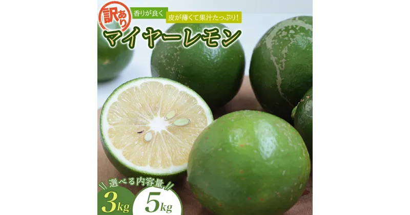 【ふるさと納税】 訳あり 国産 数量限定 マイヤーレモン 3kgまたは5kg 【2024年10月~2025年3月下旬の期間で順次発送】 / レモン 国産 マイヤーレモン 数量限定 訳あり