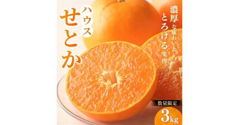 【ふるさと納税】 せとか 阪口農園の ハウスせとか 3kg (2L〜3L 9玉〜12玉) 【2025年2月中旬から3月中旬までに順次発送】 みかん ミカン 蜜柑 柑橘 果物 くだもの フルーツ 予約 人気 ジューシー 甘い 産地直送 送料無料