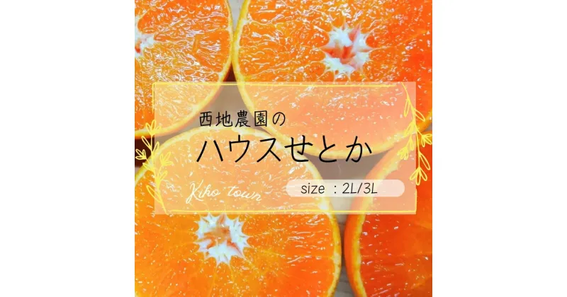 【ふるさと納税】 せとか 西地農園の ハウスせとか 2L 12個 / 3L 10個 【2025年2月中旬より順次発送】 手選別 ハウスせとか みかん ミカン 蜜柑 柑橘 果物 くだもの フルーツ 予約 人気 ジューシー 甘い 産地直送 送料無料