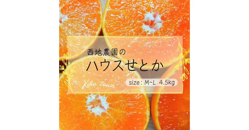 【ふるさと納税】 せとか 西地農園の ハウスせとか 4.5kg L〜Mサイズ 【2025年2月中旬から3月中順で次発送】 手選別 ハウスせとか みかん ミカン 蜜柑 柑橘 果物 くだもの フルーツ 予約 人気 ジューシー 甘い 産地直送 送料無料