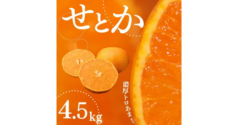 【ふるさと納税】 せとか ご家庭用 たにぐち農園の せとか 4.5kg 大小混合 【2025年3月から4月上旬までに順次発送】 みかん ミカン 蜜柑 柑橘 果物 くだもの フルーツ サイズ 不揃い 家庭用 予約 人気 ジューシー 甘い 産地直送 送料無料