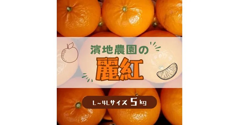 【ふるさと納税】 麗紅 濱地農園の 麗紅 (れいこう) 約5kg L-4Lサイズのいずれか 【2025年2月初旬から3月初旬までに順次発送】 みかん ミカン 蜜柑 フルーツ 果物 くだもの 産地直送 甘い ジューシー 数量限定 送料無料