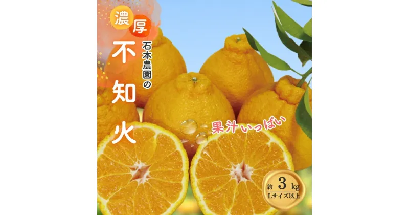 【ふるさと納税】 不知火 石本農園の 不知火 3kg Lサイズ以上【2025年3月初旬から下旬までに順次発送】 デコポン みかん ミカン 蜜柑 柑橘 果物 くだもの フルーツ 予約 人気 ジューシー 甘い 産地直送 送料無料