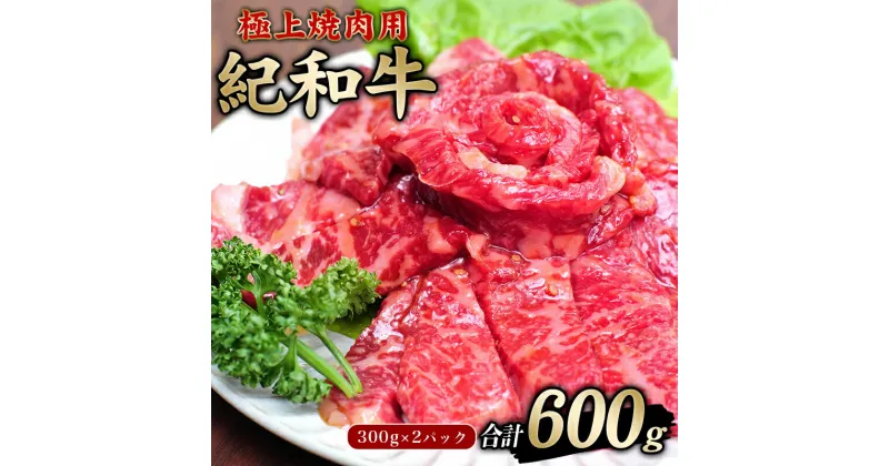 【ふるさと納税】 極上紀和牛タレ仕込味付焼肉 300g×2パック 合計600g【冷凍】 / 肉 牛肉 牛 小分け 味 焼き肉 焼肉 人気 大人気 おすすめ 大容量 おかず バーベキュー