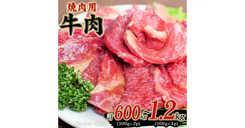 【ふるさと納税】 ＼容量が選べる／ 牛タレ仕込味付焼肉 【冷凍】 / 肉 牛肉 牛 小分け 味 焼き肉 焼肉 人気 大人気 おすすめ 大容量 おかず バーベキュー 冷凍