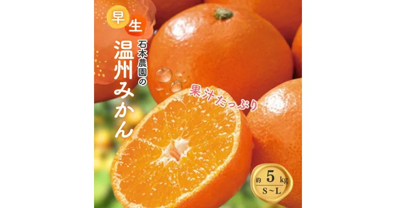 【ふるさと納税】 S-Lサイズおまかせ 石本農園の早生温州みかん 5kg【2024年11月下旬から12月末頃までに順次発送】/ みかん ミカン 蜜柑 早生 温州