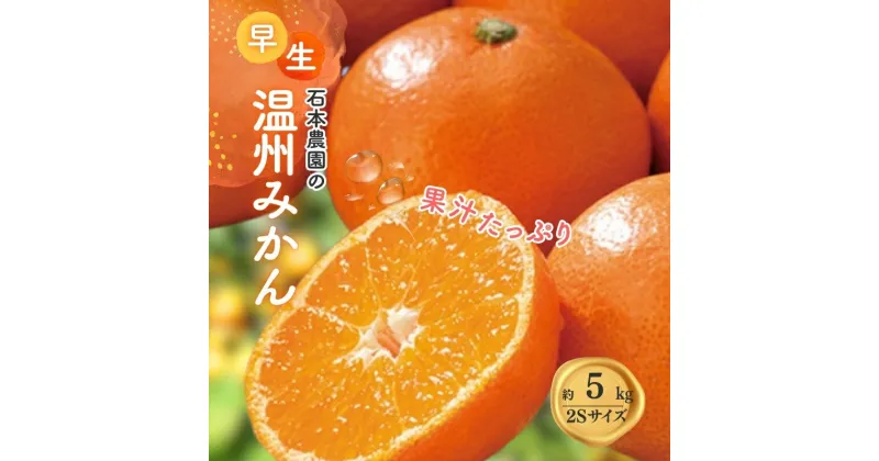 【ふるさと納税】 2Sサイズ 石本農園の早生温州みかん約5kg【11月下旬から12月末頃までに順次発送】/ みかん ミカン 蜜柑 早生 温州