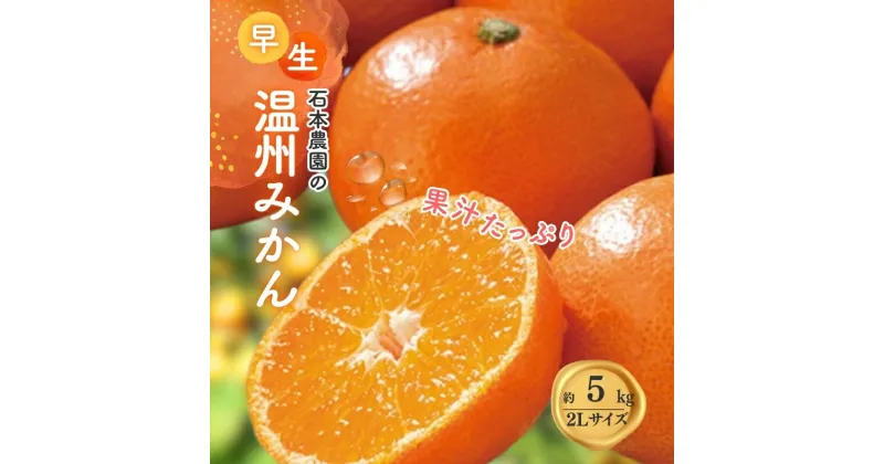 【ふるさと納税】 2Lサイズ 石本農園の早生温州みかん約5kg【11月下旬から12月末頃までに順次発送】 / みかん ミカン 蜜柑 温州