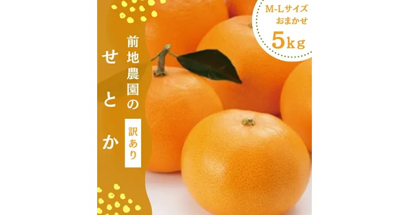 【ふるさと納税】 せとか 前地農園の せとか M-2L サイズおまかせ ご家庭用 5kg【2025年3月初旬から2025年3月中旬までに順次発送】 みかん ミカン 蜜柑 柑橘 果物 くだもの フルーツ サイズ 不揃い 家庭用 ご家庭用 産地直送 予約 人気 ジューシー 甘い 送料無料