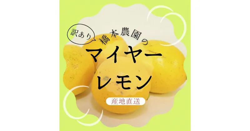 【ふるさと納税】 ＼選べる容量／ 【先行予約】橋本農園の 訳あり マイヤーレモン【3kg・5kg・10kgから選べます】【2024年12月初旬〜2025年1月初旬までに順次発送】 / レモン マイヤーレモン 檸檬 果物 くだもの フルーツ 産地直送 国産 数量限定 家庭用 ご家庭用 訳あり