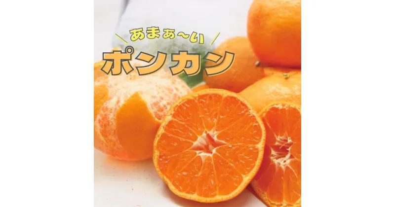 【ふるさと納税】 ポンカン 石本果樹園の 美味しい ポンカン 約4kg 20〜25玉前後【1月初旬から2月初旬までに順次発送】 / みかん フルーツ くだもの 果物 柑橘 先行予約 産地直送 送料無料