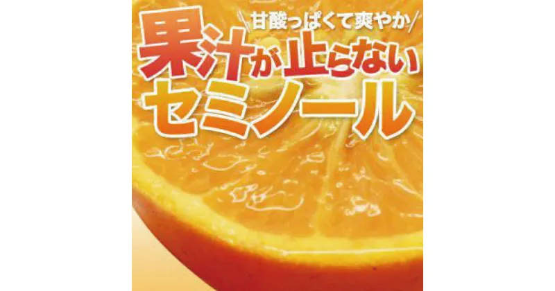 【ふるさと納税】 セミノール 石本果樹園の 美味しい セミノール 約4kg 入り(30〜35玉前後)【2025年4月中旬から5月中旬までに順次発送】 / みかん フルーツ くだもの 果物 柑橘 産地直送 送料無料 ジューシー