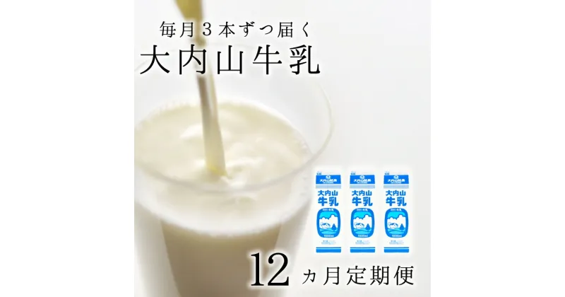 【ふるさと納税】 【12か月定期便】大内山牛乳の定期便 1L×3本を12か月連続でお届け！ 牛乳 ミルク 成分無調整牛乳 定期便