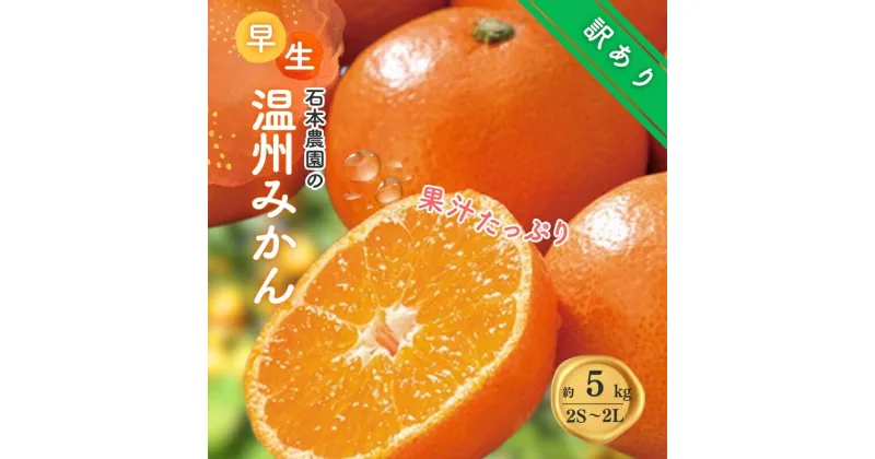 【ふるさと納税】 訳あり 2S-2Lサイズおまかせ 石本農園の早生温州みかん 5kg【11月下旬から12月末頃までに順次発送】 / みかん ミカン 蜜柑 温州