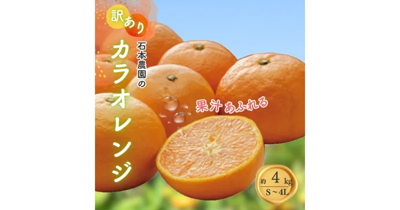 【ふるさと納税】 訳あり S-4L サイズおまかせ 石本農園のカラオレンジ 4kg 【2025年4月初旬から下旬までに順次発送】 / みかん ミカン 蜜柑 カラオレンジ 訳あり