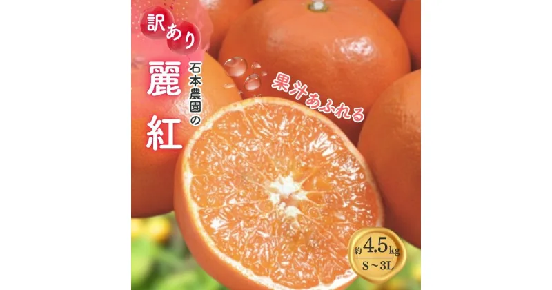 【ふるさと納税】 訳あり麗紅 石本農園の 麗紅(れいこう) 4.5kg S-3L サイズおまかせ 【2025年1月中旬から2月末頃までに順次発送】 家庭用 わけあり ワケアリ みかん ミカン 蜜柑 フルーツ 果物 くだもの 産地直送 甘い ジューシー 数量限定 送料無料