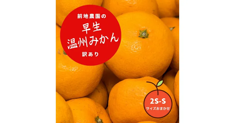 【ふるさと納税】 ご家庭用 訳あり 前地農園の 早生温州みかん 7kg 2S-S サイズおまかせ 【12月初旬から12月中旬までに順次発送】 わけあり ワケアリ 家庭用 みかん ミカン 蜜柑 フルーツ 果物 くだもの 早生 温州 数量限定 産地直送 送料無料