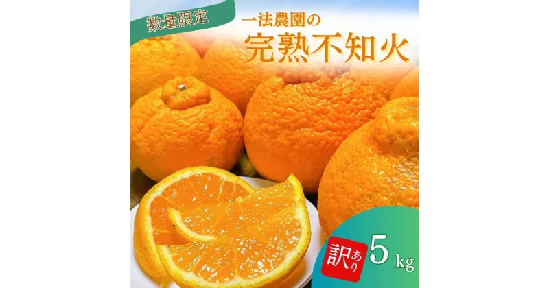 【ふるさと納税】 不知火 一法農園の 完熟不知火 5kg ご家庭用 ちょこっと訳あり M-3Lサイズ混合 【2月上旬〜3月下旬までに順次発送】 デコポン みかん ミカン 蜜柑 柑橘 果物 くだもの フルーツ わけあり 訳あり 家庭用 予約 人気 ジューシー 甘い 産地直送 送料無料