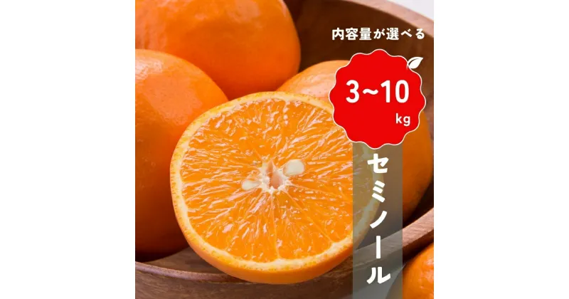 【ふるさと納税】 【先行予約】＼容量が選べる／ 橋本農園の セミノール 【2025年3月中旬から4月中旬に順次発送】 / セミノール 柑橘 フルーツ 果物 くだもの 先行予約