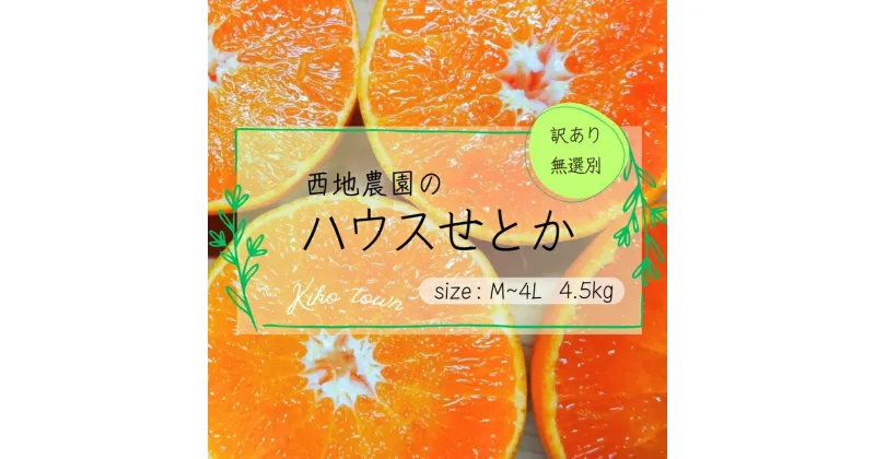 【ふるさと納税】 ご家庭用 訳あり せとか 西地農園の ハウスせとか 4.5kg M〜4L サイズ混合 無選別【2025年2月中旬から順次発送】 手選別 ハウスせとか L M みかん ミカン 蜜柑 柑橘 果物 くだもの フルーツ 産地直送 訳あり 訳アリ 家庭用 産地直送 送料無料