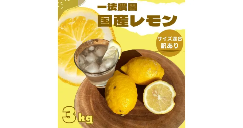 【ふるさと納税】 一法農園の 国産レモン サイズ混合 3kg(15個前後) 訳あり ご家庭用【1月初旬〜3月下旬までに順次発送】 / れもん レモン 檸檬 蜜柑 フルーツ 果物