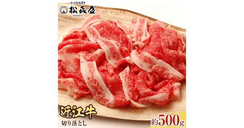 【ふるさと納税】近江牛切り落し 約500g