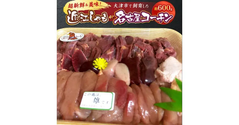 【ふるさと納税】超新鮮＆美味！大津市で飼育した近江しゃもor名古屋コーチン！