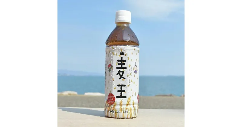 【ふるさと納税】大津市産六条大麦100％使用　本格麦茶「麦王」500ml×24本