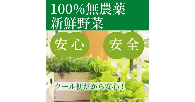 【ふるさと納税】☆滋賀県大津市から直送！☆新鮮無農薬野菜詰め合わせ